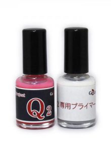 Project Q2