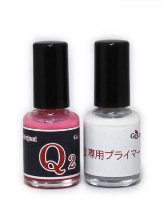 Project Q2