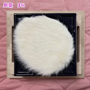 箱シナプスの昇氣